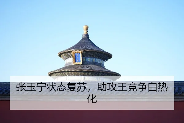 zhang-yu-ning-zhuang-tai-fu-su-zhu-gong-wang-jing-zheng-bai-re-hua-2-488.jpg