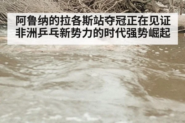 阿鲁纳的拉各斯站夺冠正在见证非洲乒乓新势力的时代强势崛起